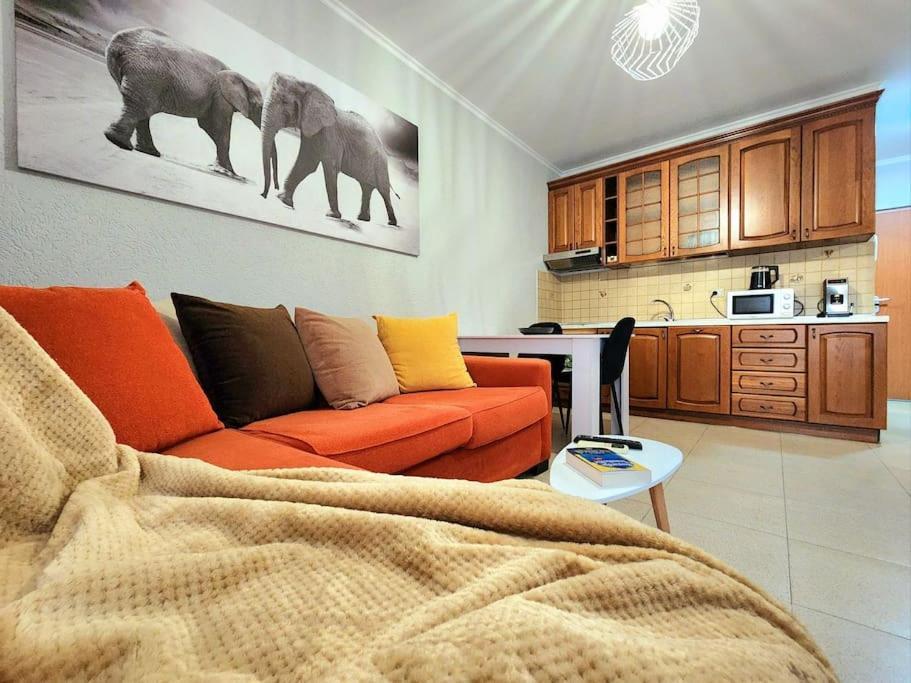 One Bd Flat Near Center With 24H Self Check In Apartment ติรานา ภายนอก รูปภาพ