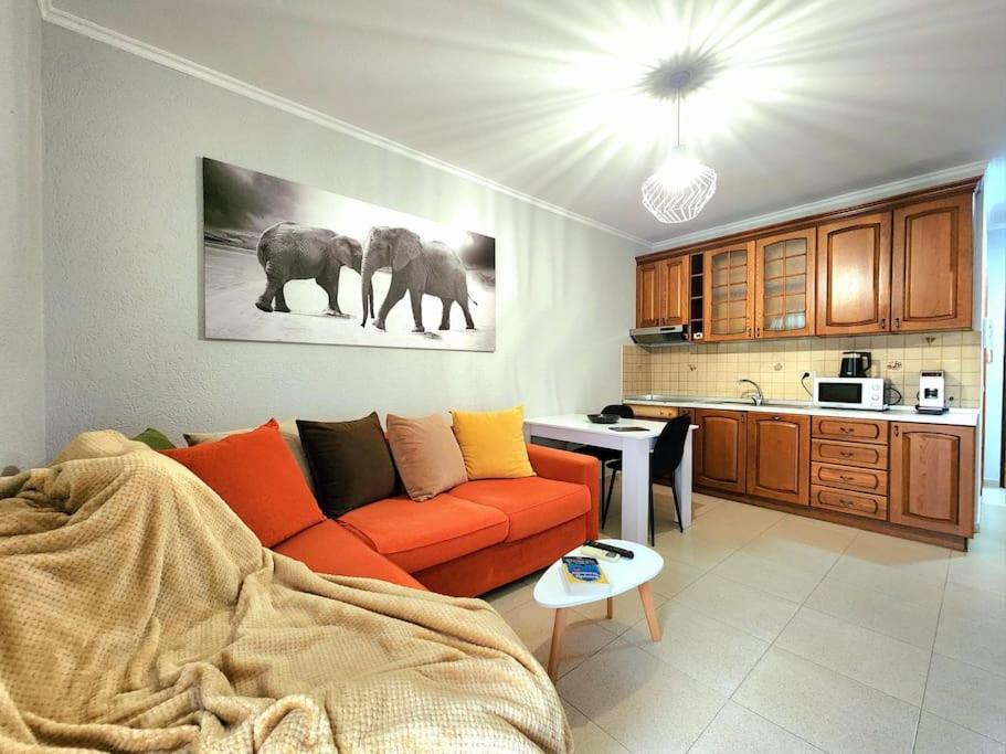 One Bd Flat Near Center With 24H Self Check In Apartment ติรานา ภายนอก รูปภาพ